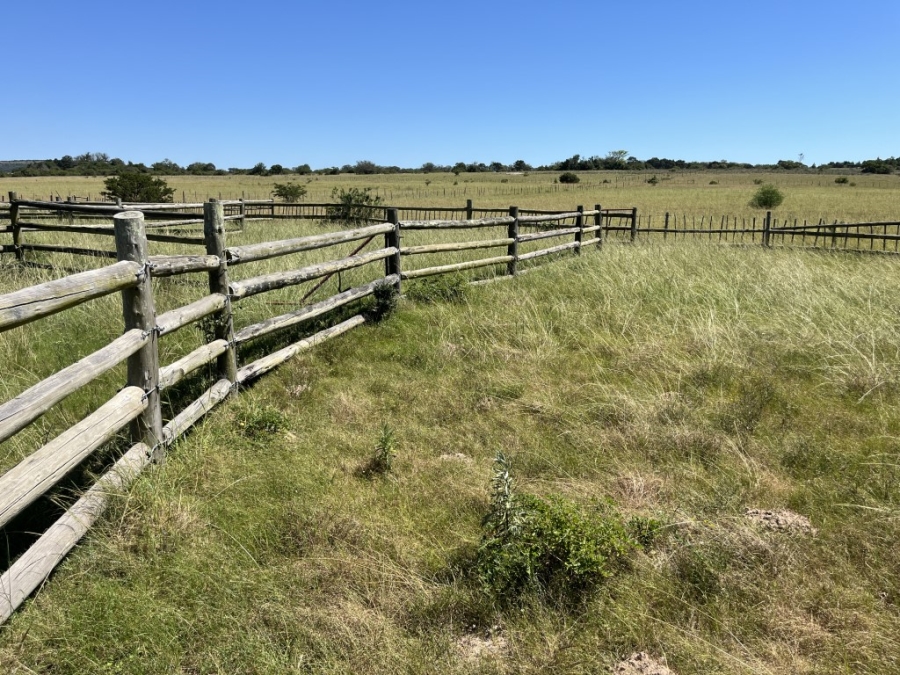 Commercial Property for Sale in Bathurst Rural Eastern Cape
